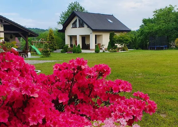 Nowy Pod Kogutkiem Prázdninový dům